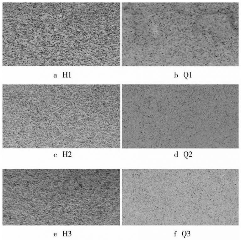 Comparison of corrosion resistance between nodular cast iron and gray